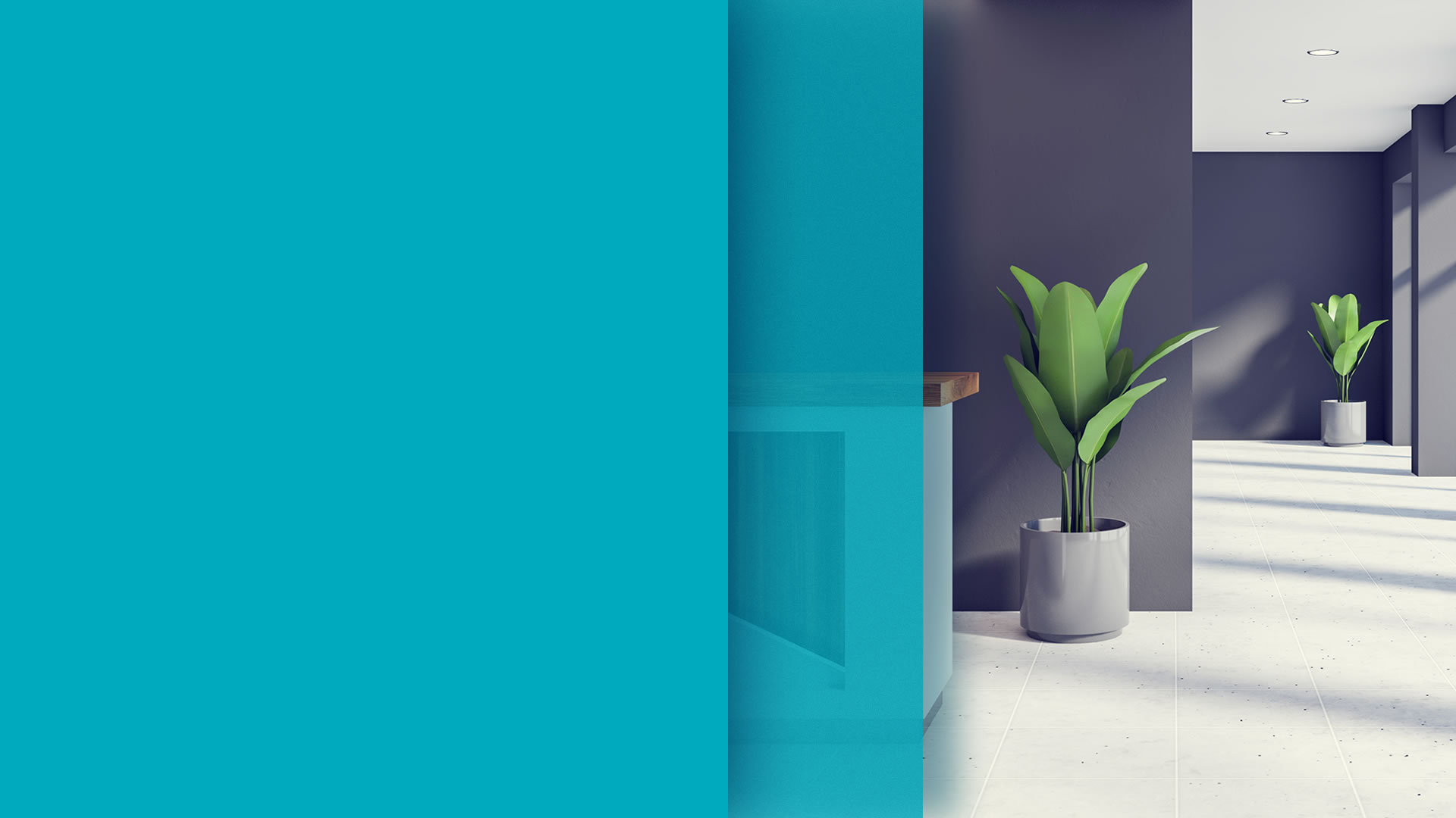 Limpeza e Conservação - Golfinho Serviços