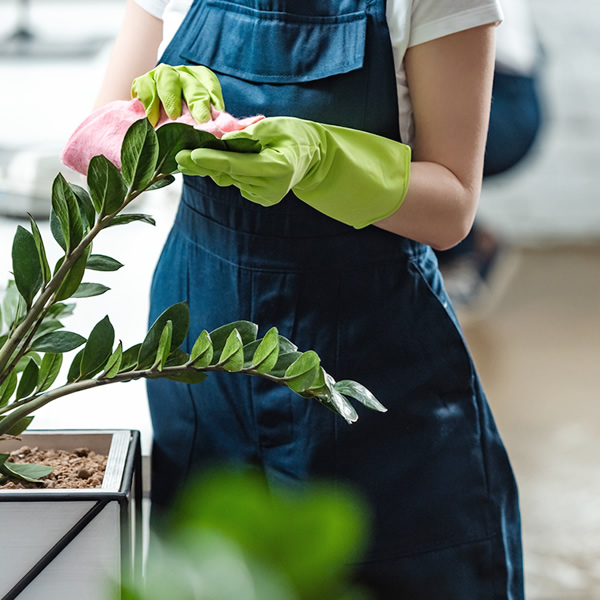 Limpeza e Conservação - Golfinho Serviços