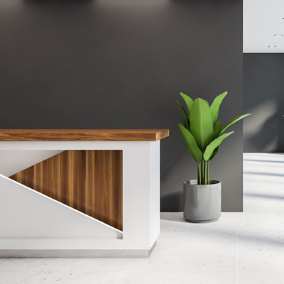 Limpeza e Conservação